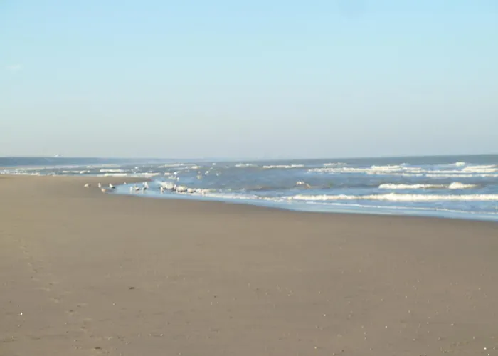 Maralong Holiday home